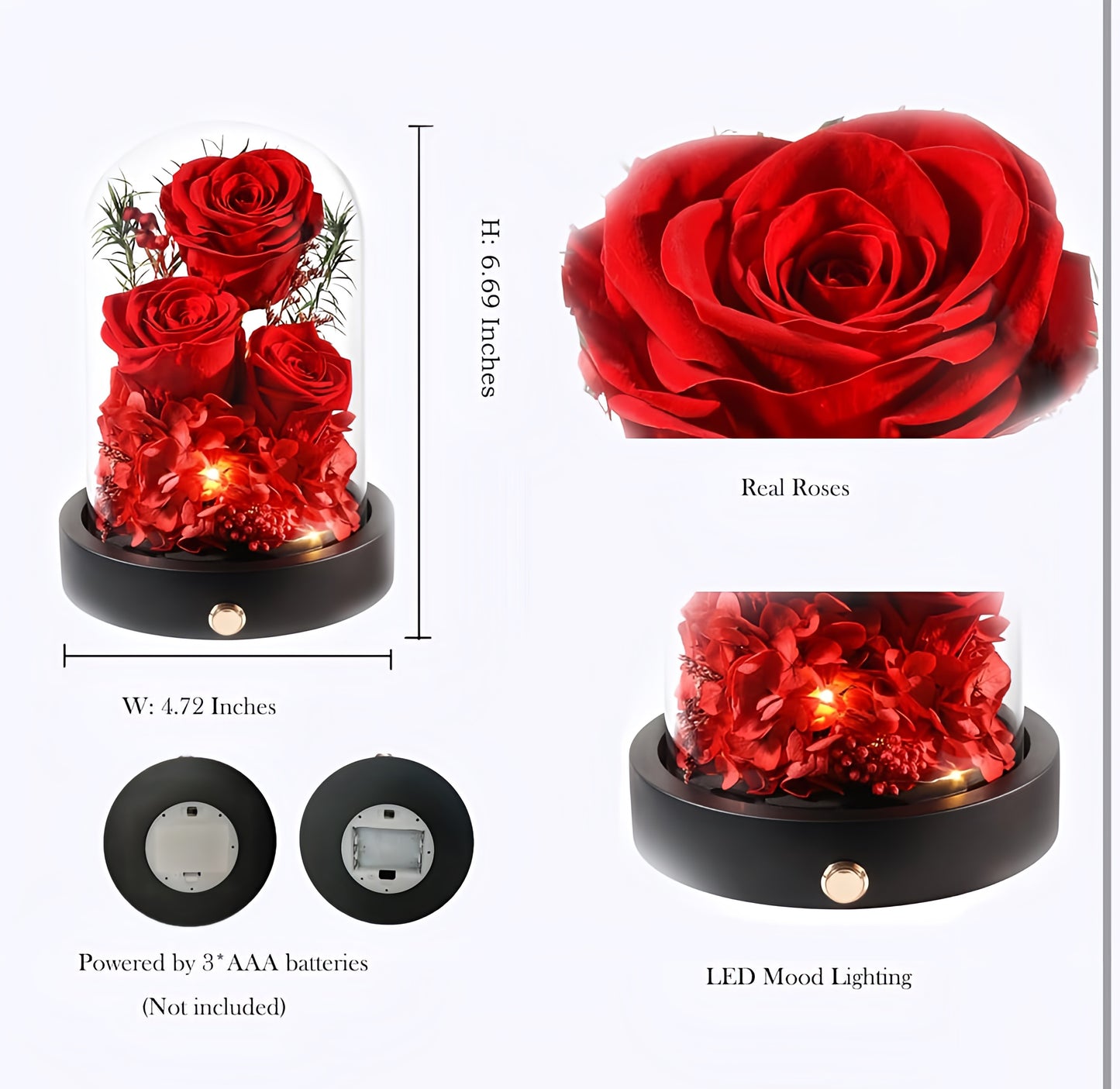 100% Real Preserved Flowers in Glass Dome with LED, Red Roses for Delivery