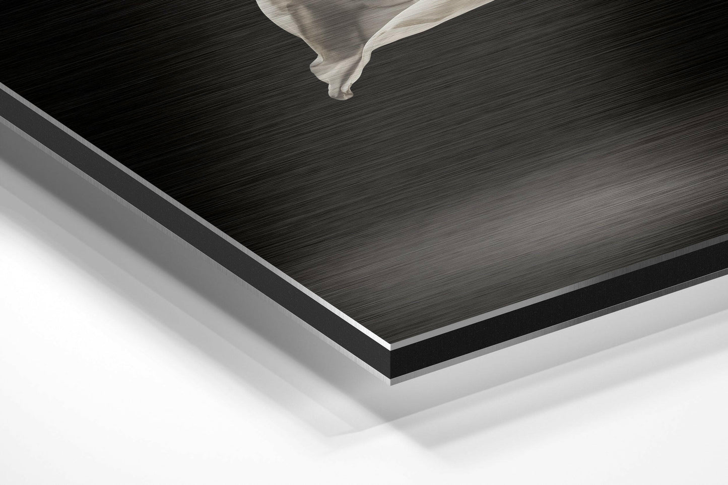 Ballerina Brushed Aluminium Dibond Wall Art