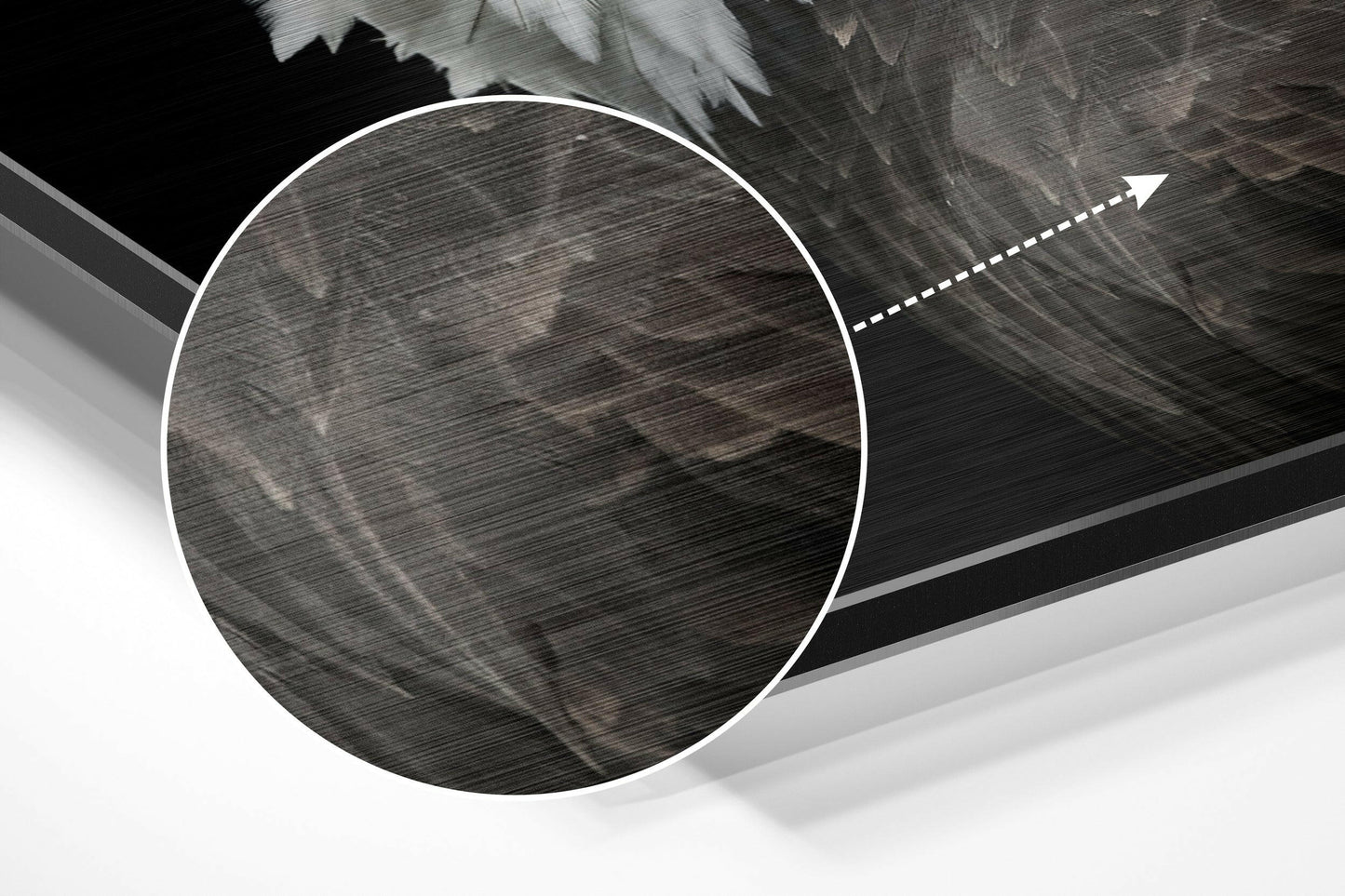 Eagle Brushed Aluminium Dibond Wall Art