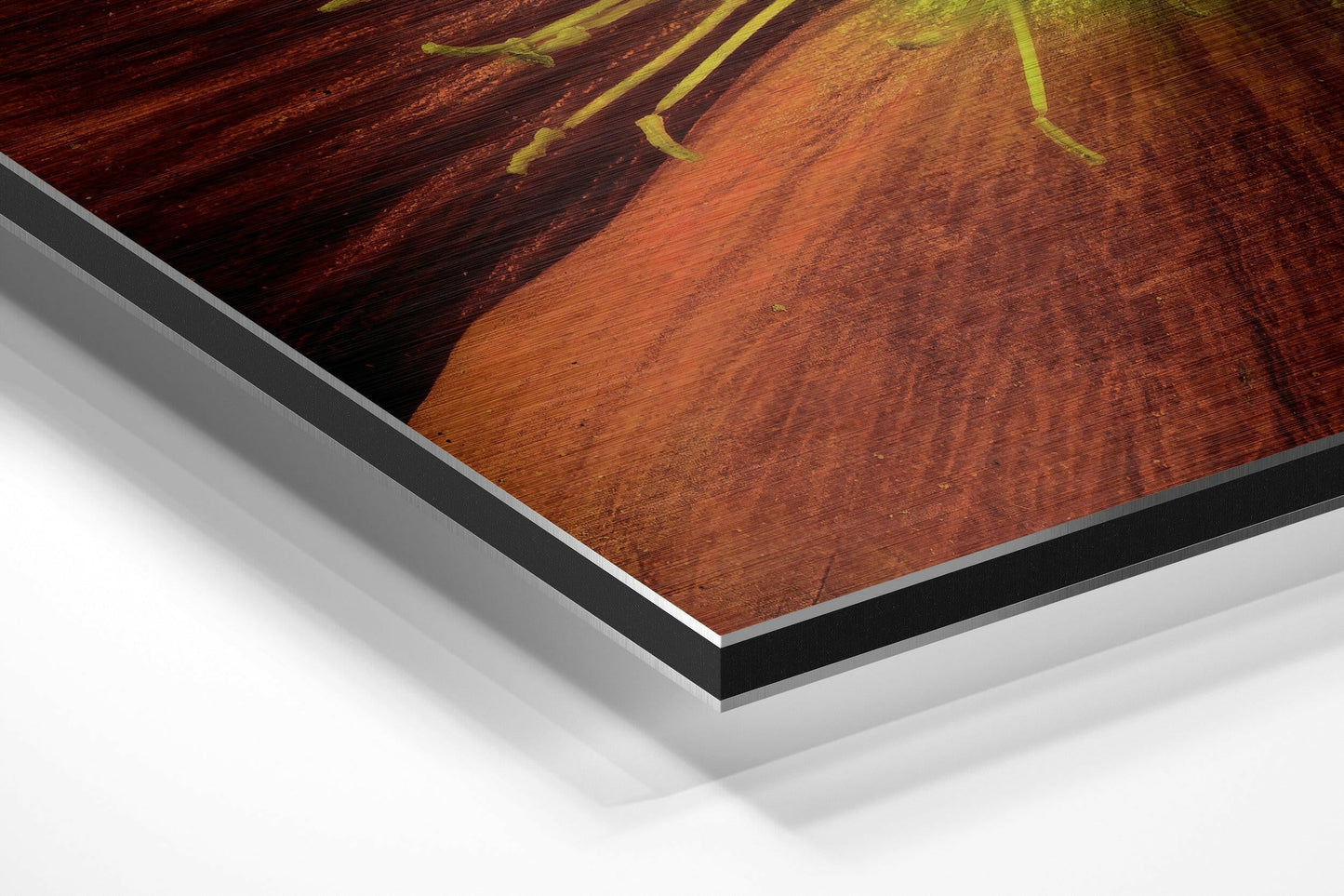 Flower Brushed Aluminium Dibond Wall Art