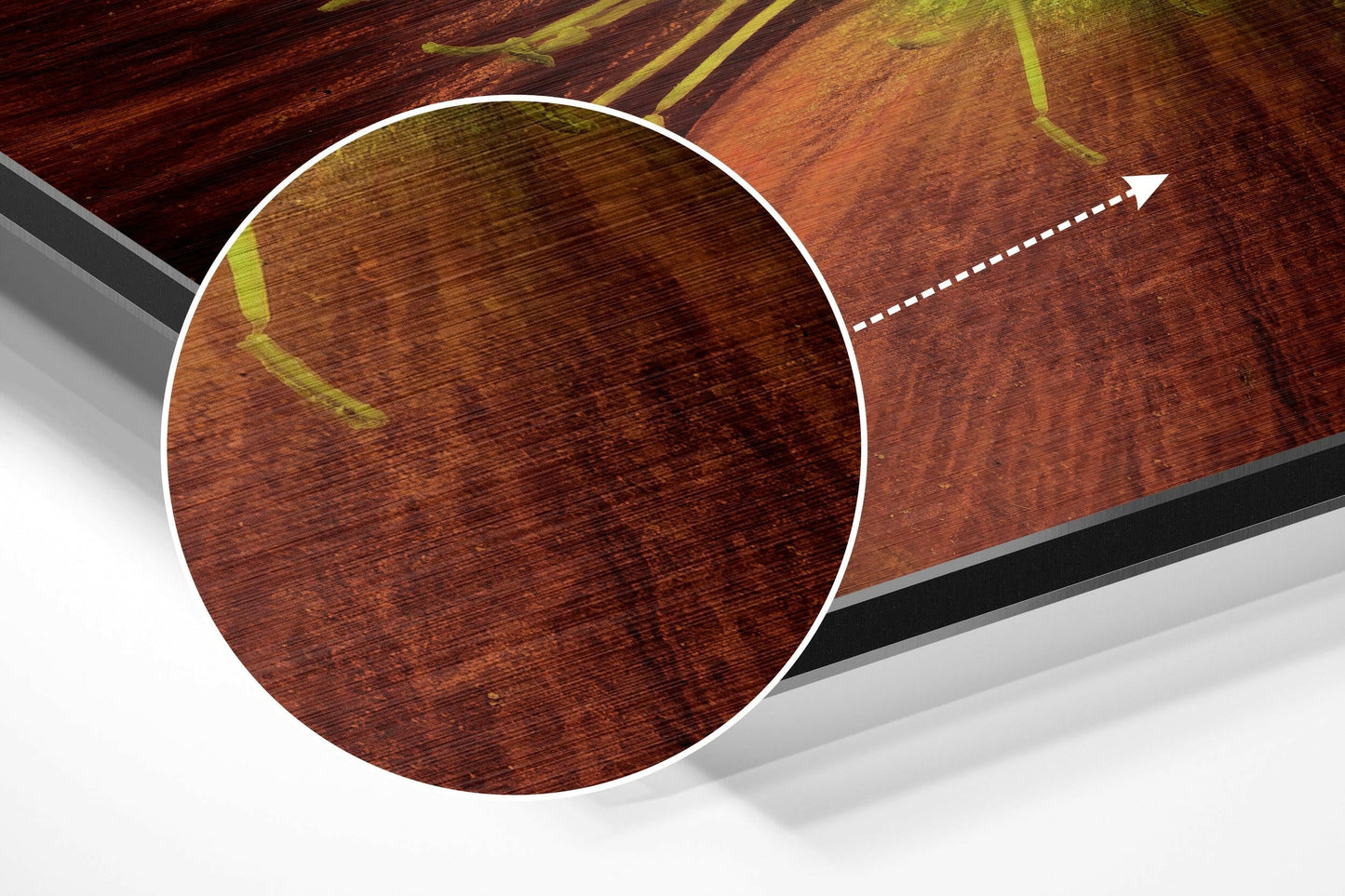 Flower Brushed Aluminium Dibond Wall Art