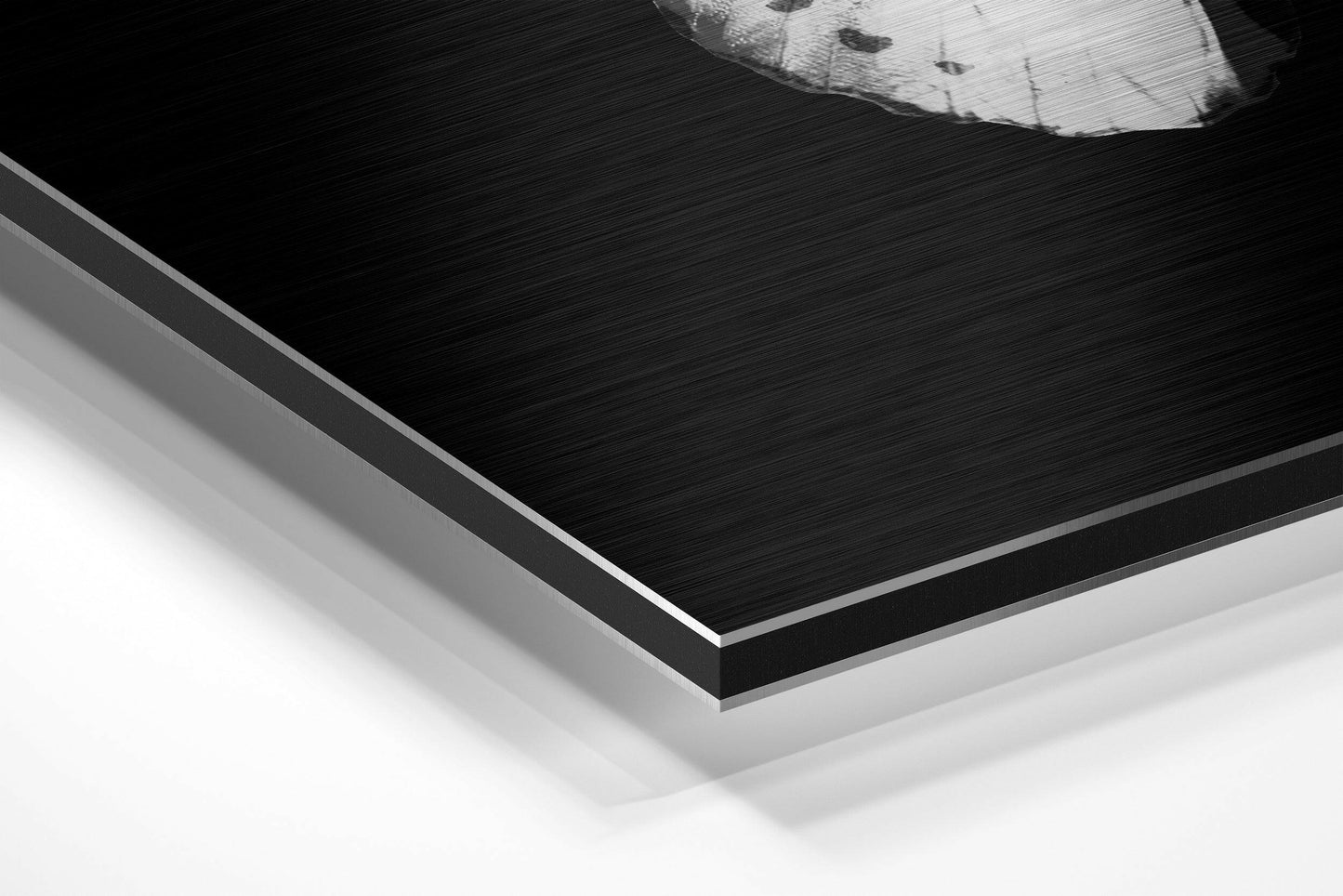 Butterfly Brushed Aluminium Dibond Wall Art