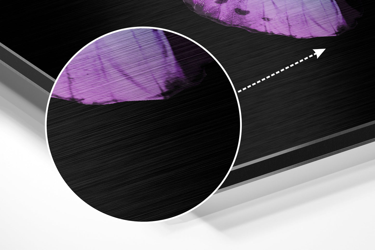 Butterfly Brushed Aluminium Dibond Wall Art