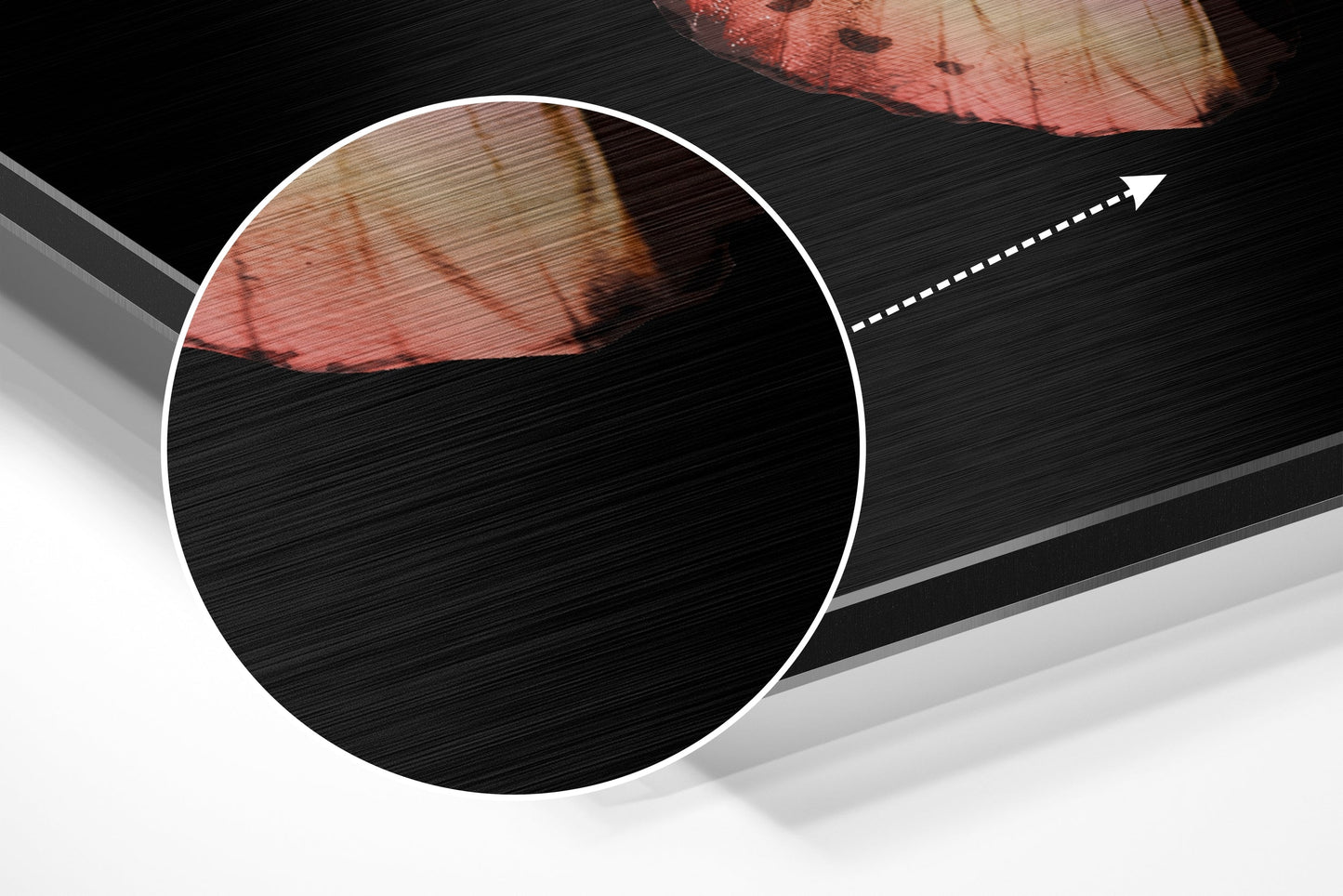Butterfly Brushed Aluminium Dibond Wall Art