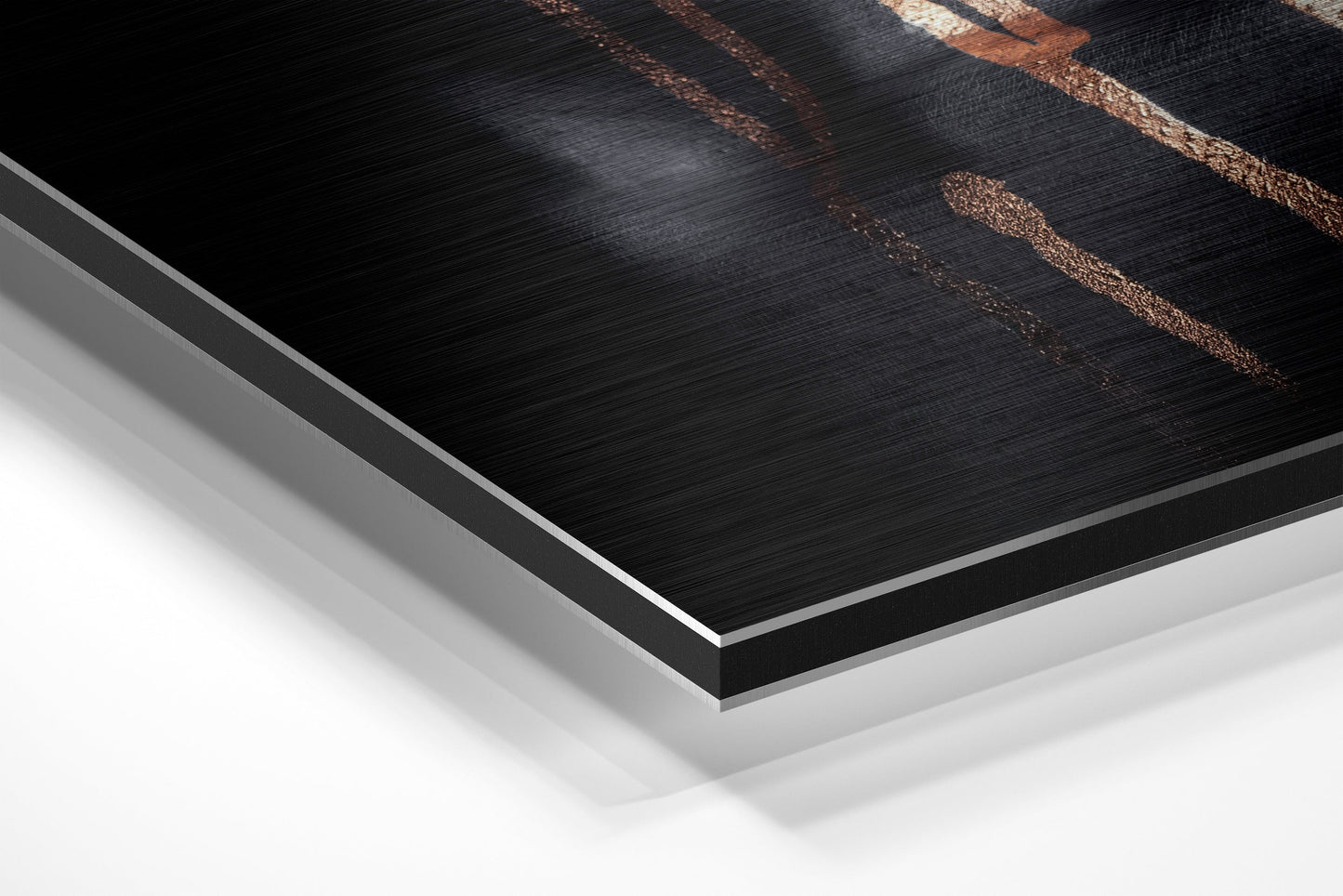 Women Brushed Aluminium Dibond Wall Art