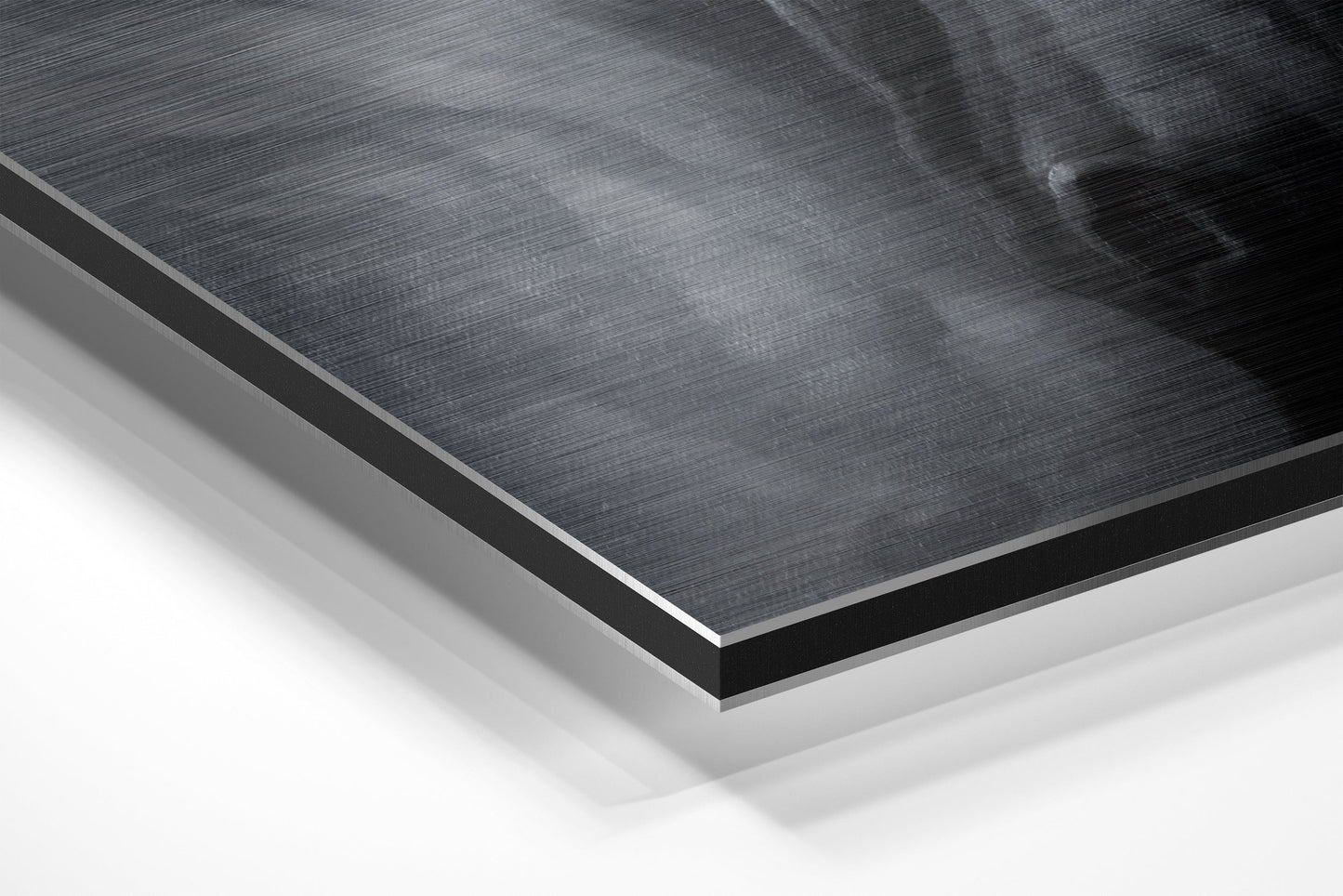 Horse Brushed Aluminium Dibond Wall Art