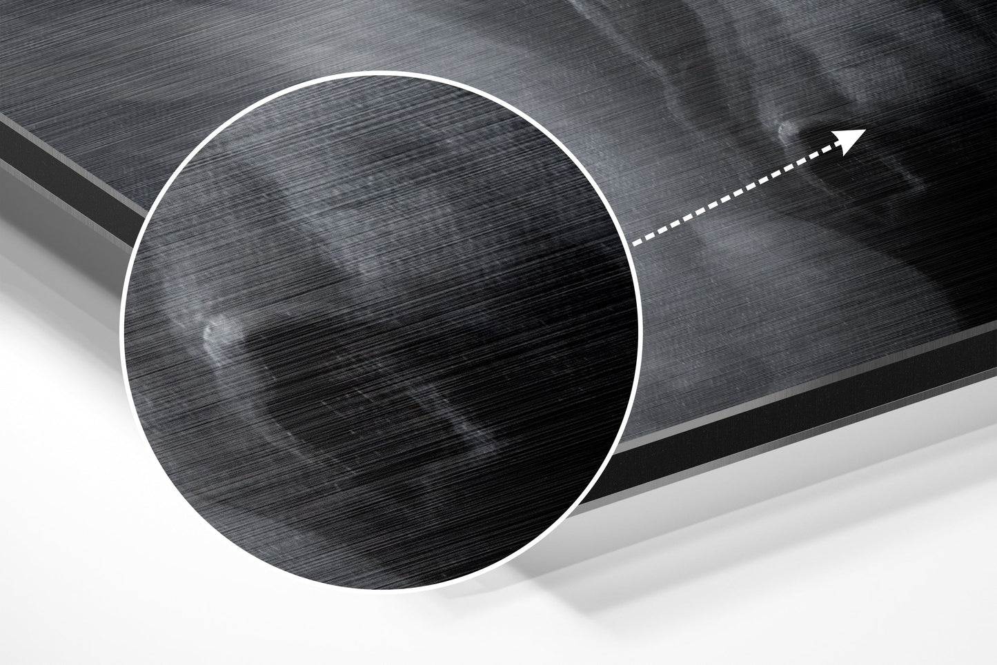 Horse Brushed Aluminium Dibond Wall Art