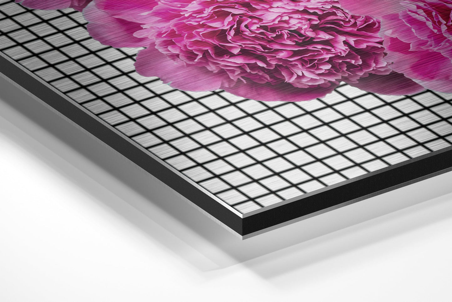 Lips Brushed Aluminium Dibond Wall Art