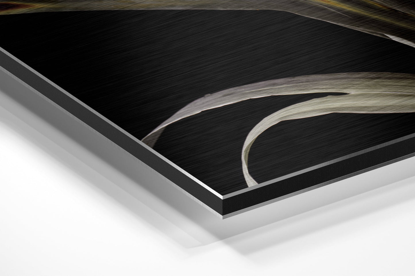 Lillium Brushed Aluminium Dibond Wall Art
