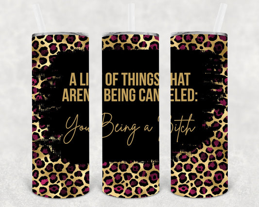 A List of Things That Aren't Being Canceled: You Being a B**** 20 oz Skinny Tumbler