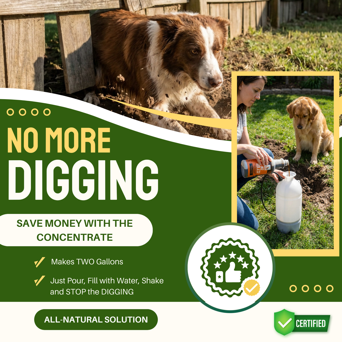 No Holes! Digging Prevention Concentrate - Twin Bundle