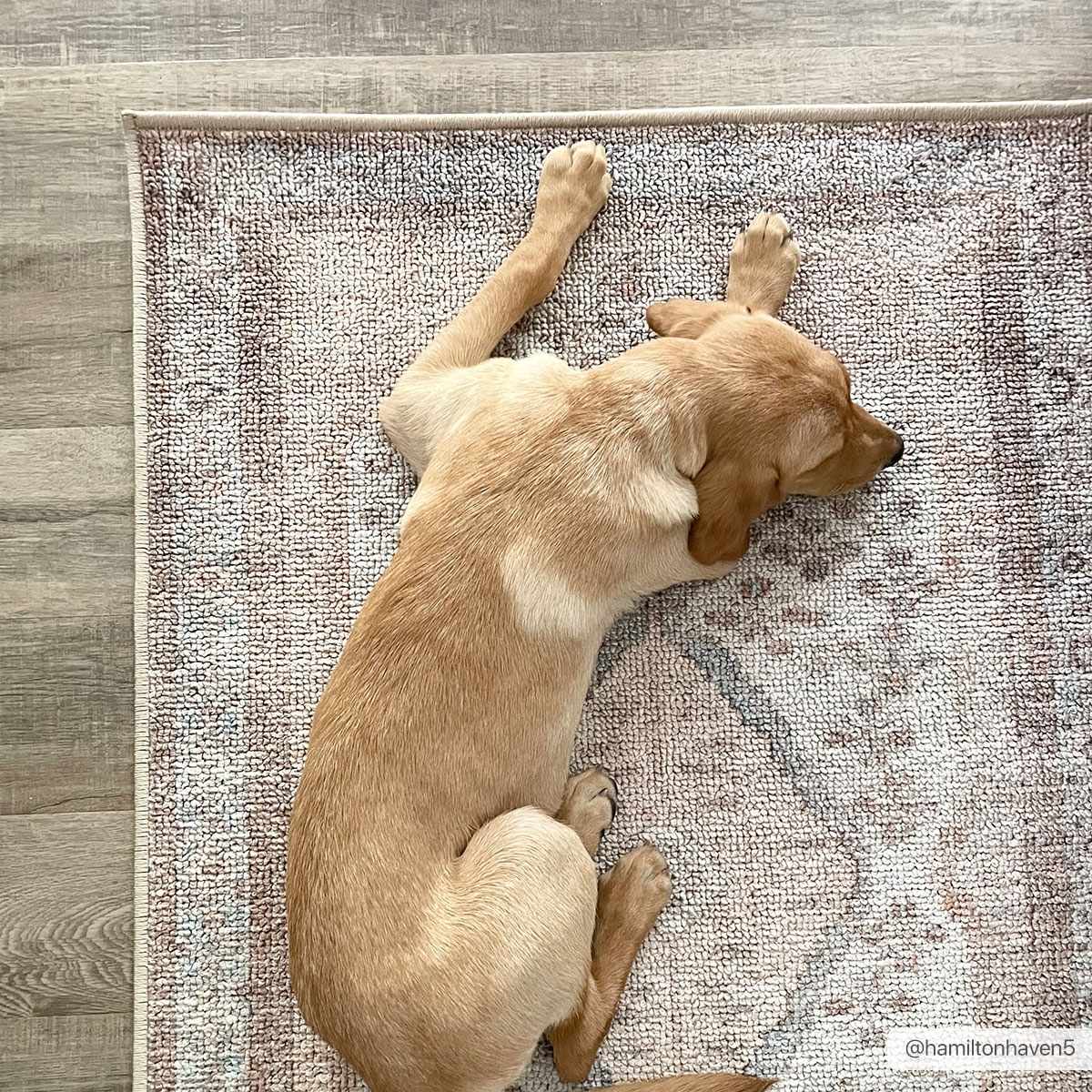 Analu Non-Slip Washable Rug-4