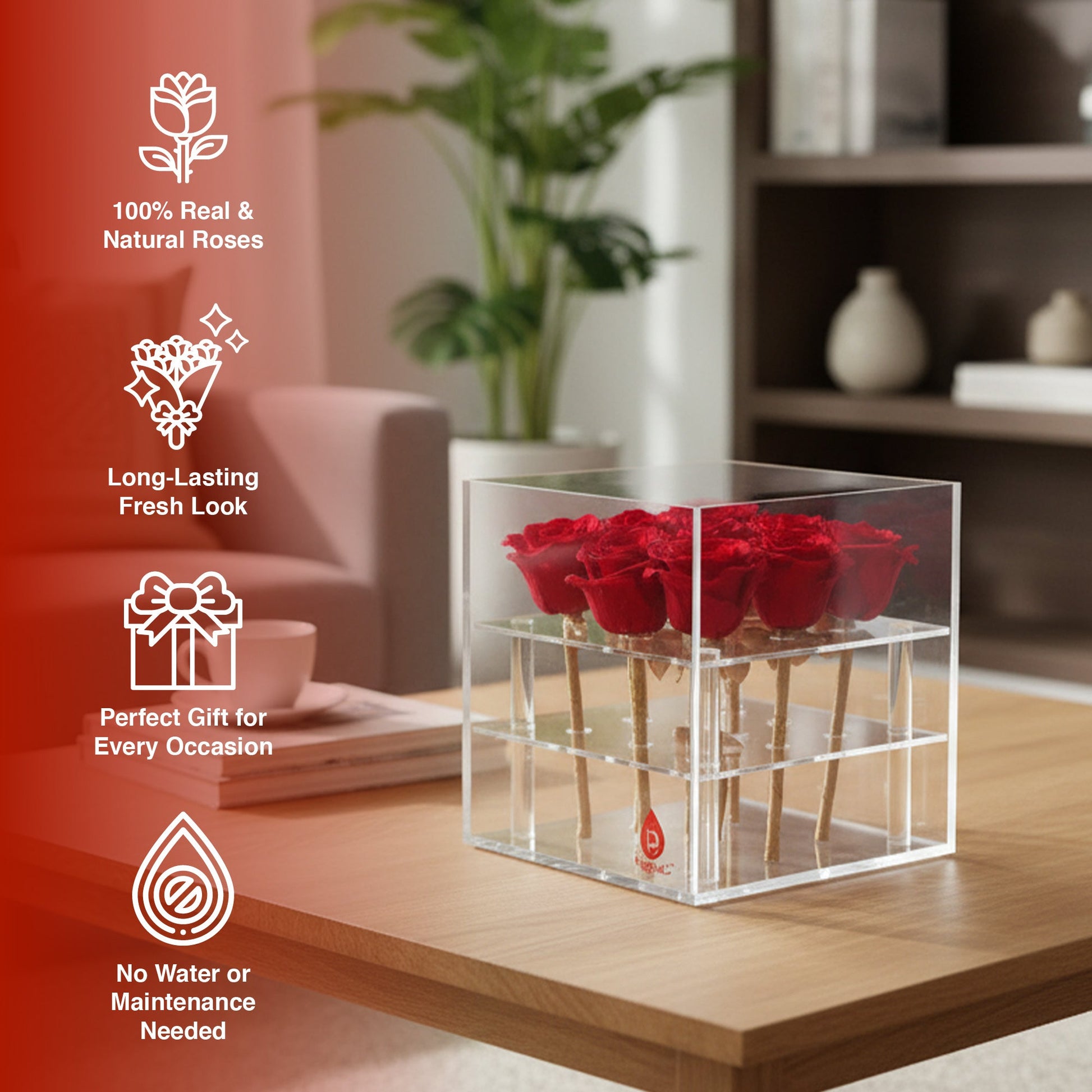 9 Preserved Roses in Acrylic Box: 100% Real Natural Roses That Last Over 1 Year-2