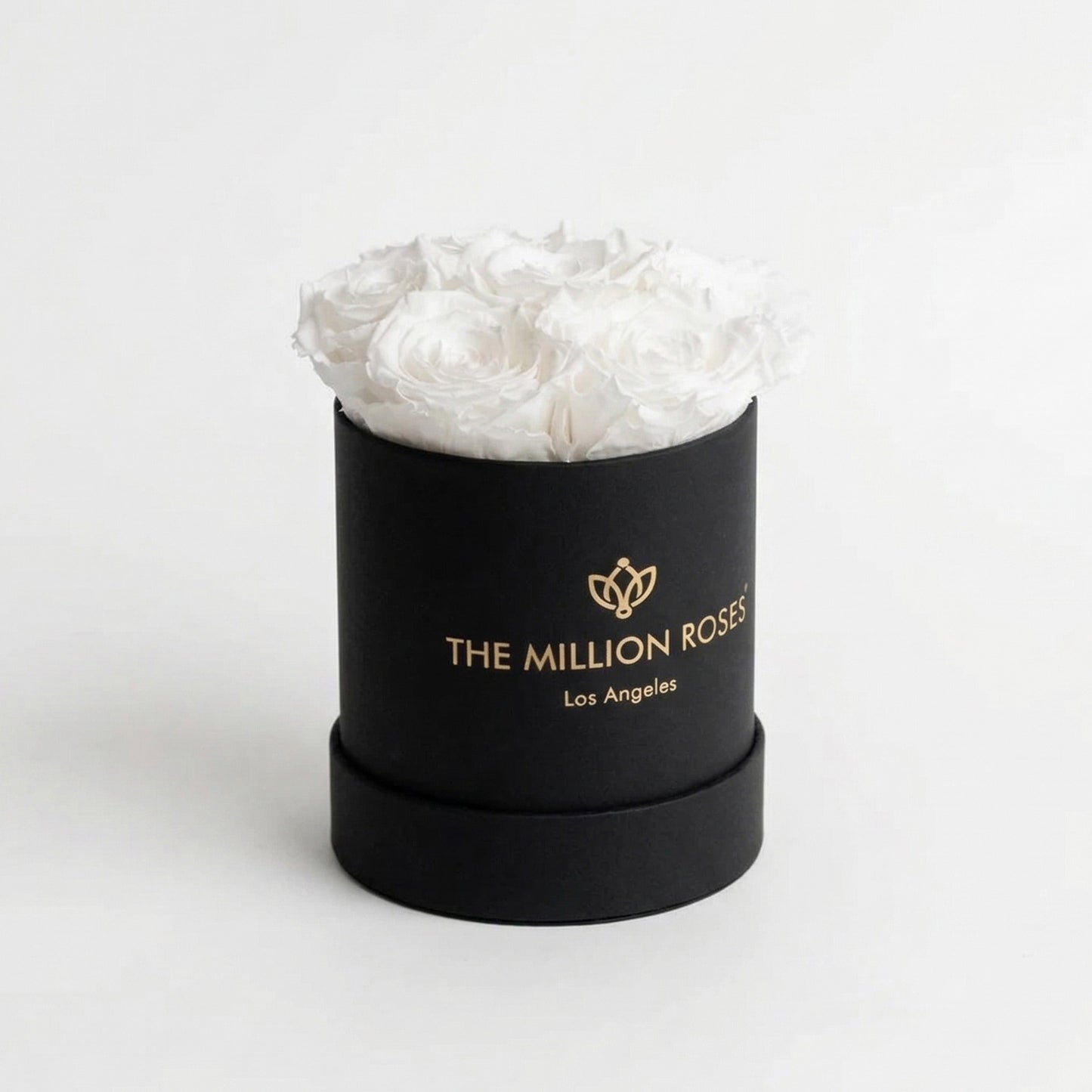 Basic Black Box | White Roses