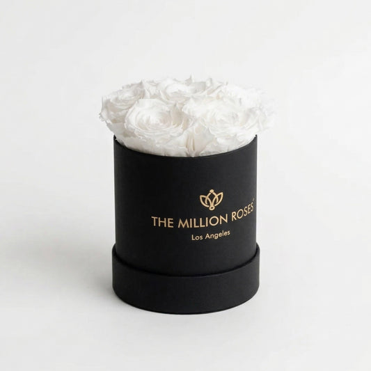 Basic Black Box | White Roses