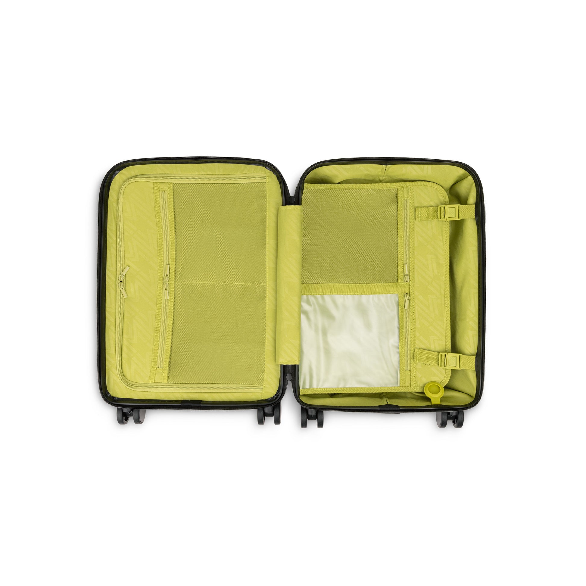 Raphael Carry-on-3
