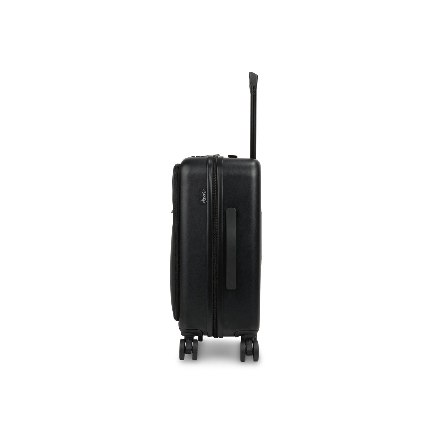 Raphael Carry-on-2