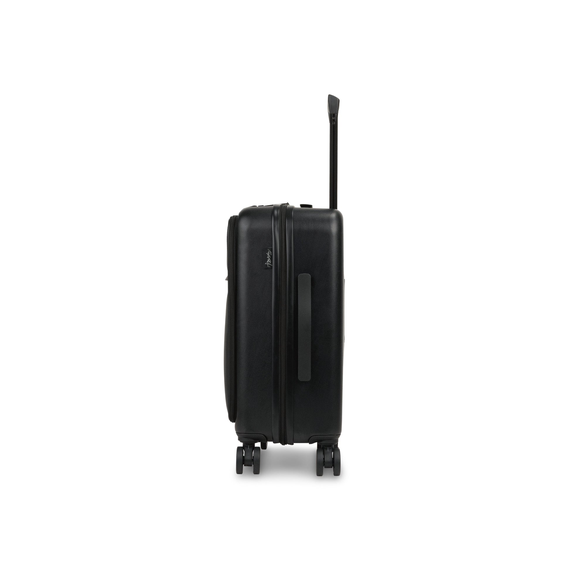 Raphael Carry-on-2