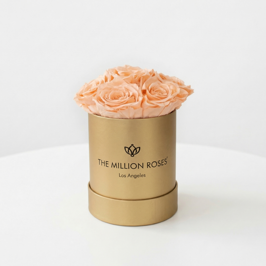 Basic Gold Box | Peach Roses