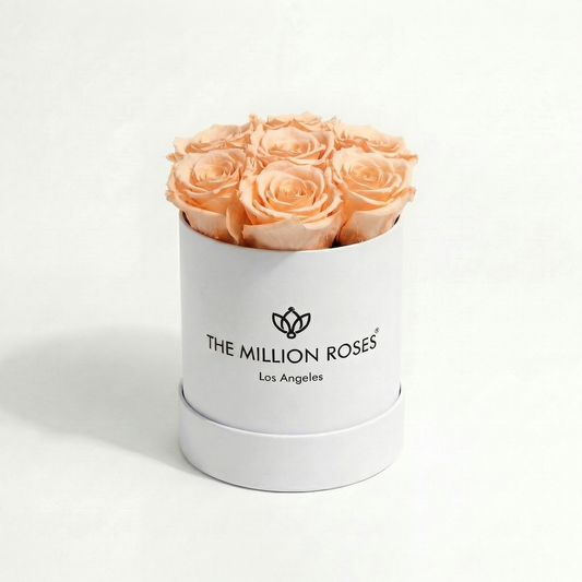 Basic White Box | Peach Roses