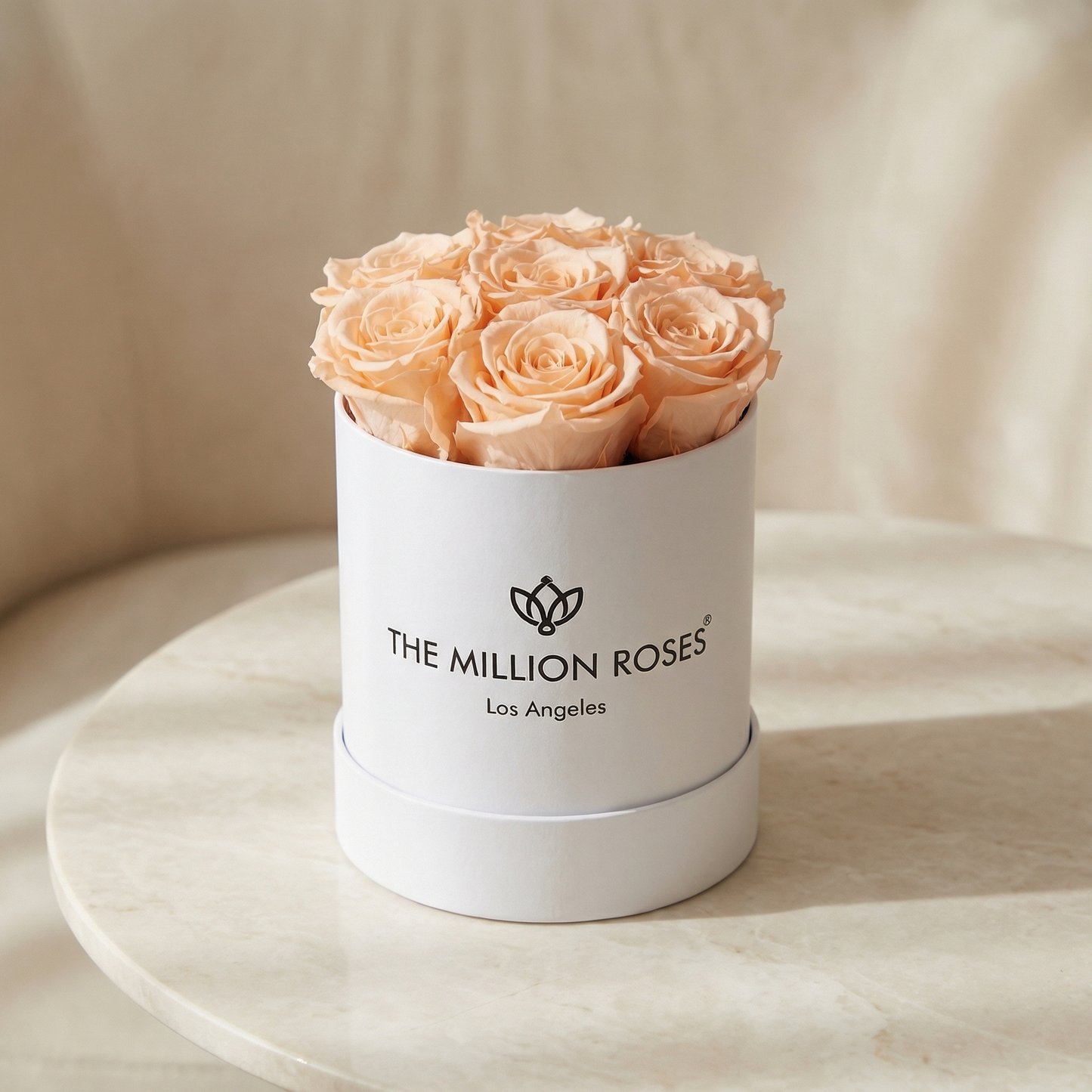 Basic White Box | Peach Roses