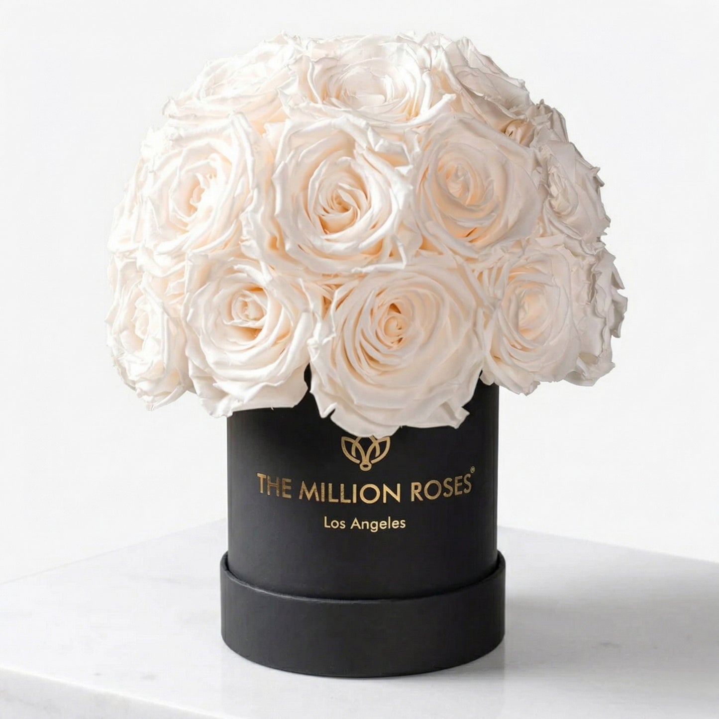 Basic Black Superdome Box | White Roses