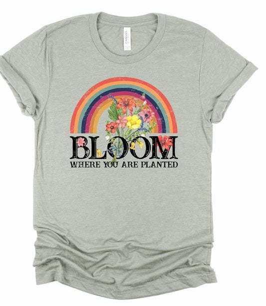 Gray t-shirt with a colorful rainbow and floral design on a white background. Light gray women's graphic t-shirt featuring a vibrant rainbow arch filled with colorful flowers above the inspirational phrase "Bloom Where You Are Planted" in bold floral lettering. Soft short-sleeve crew neck tee displayed on a white background, perfect for casual wear, faith-inspired outfits, and everyday comfort.