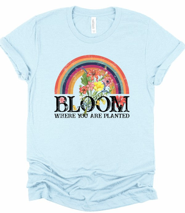 Light blue women's graphic T-shirt with a colorful rainbow and vibrant floral design above the inspirational phrase "Bloom Where You Are Planted." Soft short-sleeve crew neck tee with rolled sleeves and a knotted front, displayed on a white background. Perfect for casual everyday wear, spring and summer outfits, faith-inspired fashion, and uplifting gifts.