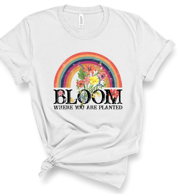 aLight gray women's graphic T-shirt featuring a colorful rainbow filled with blooming flowers above the inspirational phrase "Bloom Where You Are Planted." Soft short-sleeve crew neck tee with rolled sleeves and a knotted front, displayed on a white background. Motivational floral faith-inspired shirt for casual everyday wear, spring and summer outfits, Christian gifts, and uplifting style.