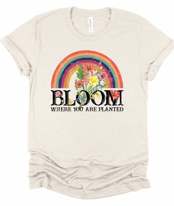 Light gray women's graphic T-shirt featuring a vibrant rainbow filled with colorful flowers above the inspirational phrase "Bloom Where You Are Planted" in bold floral lettering. Soft short-sleeve crew neck tee on a white background, ideal for casual everyday wear, Christian faith-inspired outfits, spring and summer fashion, and motivational gift giving.