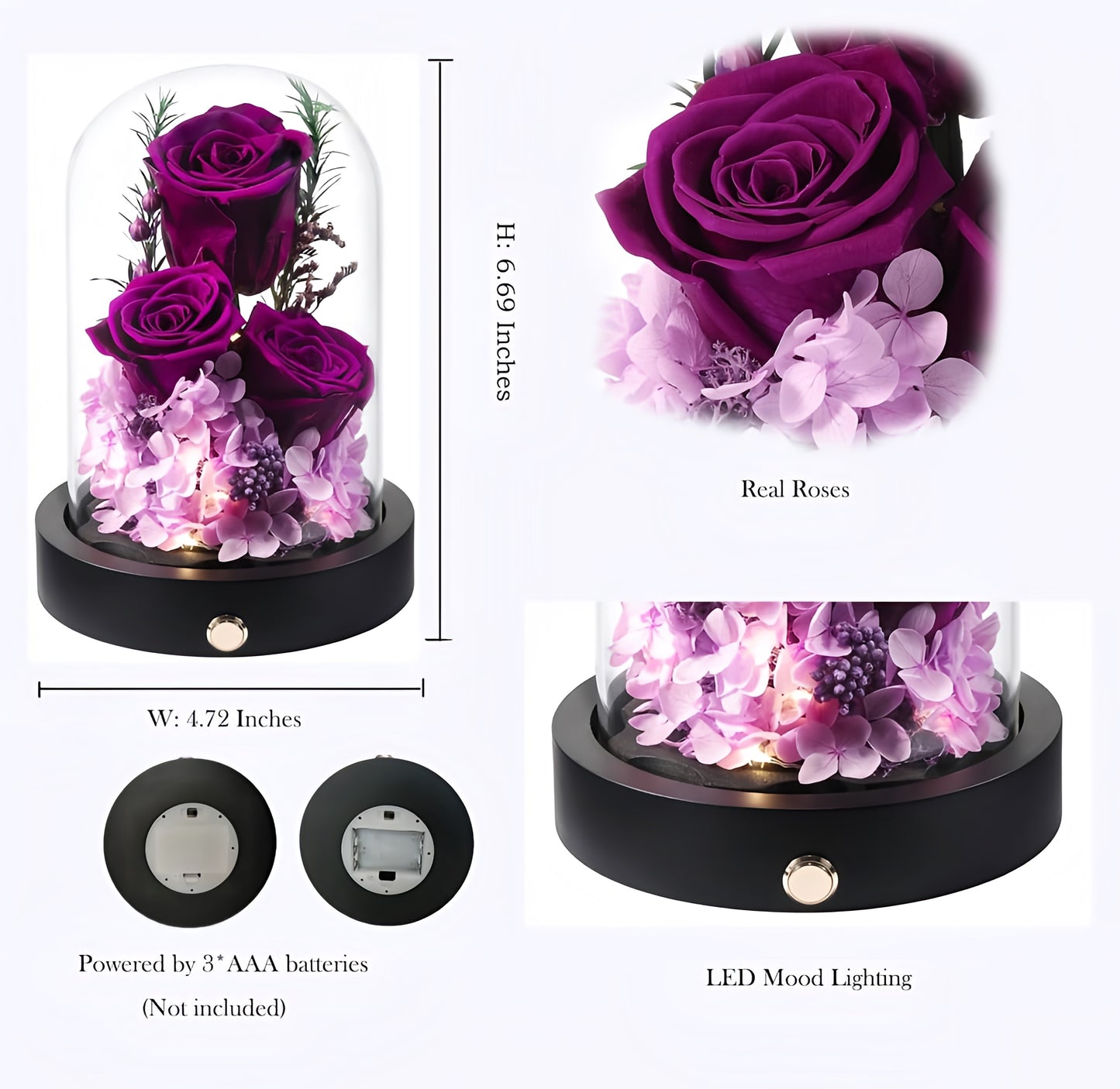 100% Real Preserved Flowers in Glass Dome with LED, Red Roses for Delivery