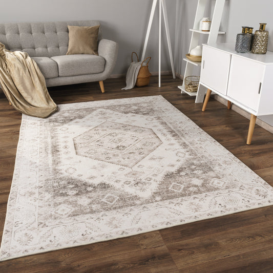 Modern Area Rug Cambridge with Vintage Faded Look-0