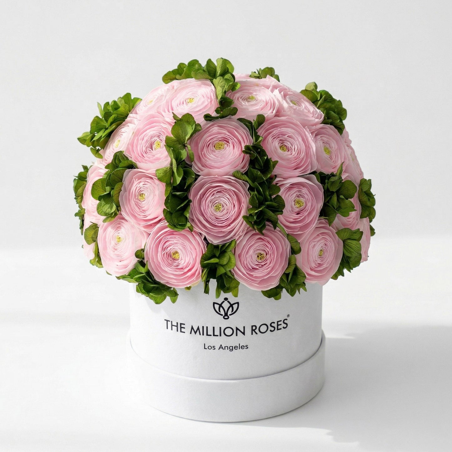 Classic White Box | Light Pink Persian Buttercups & Green Hydrangeas