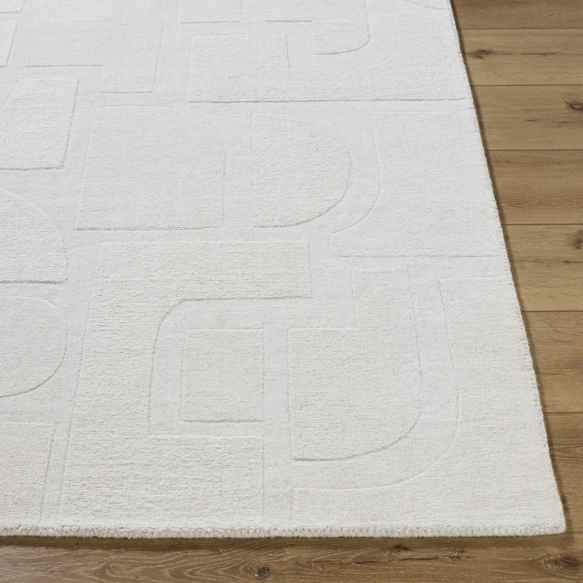 Chizue Area Rug-4