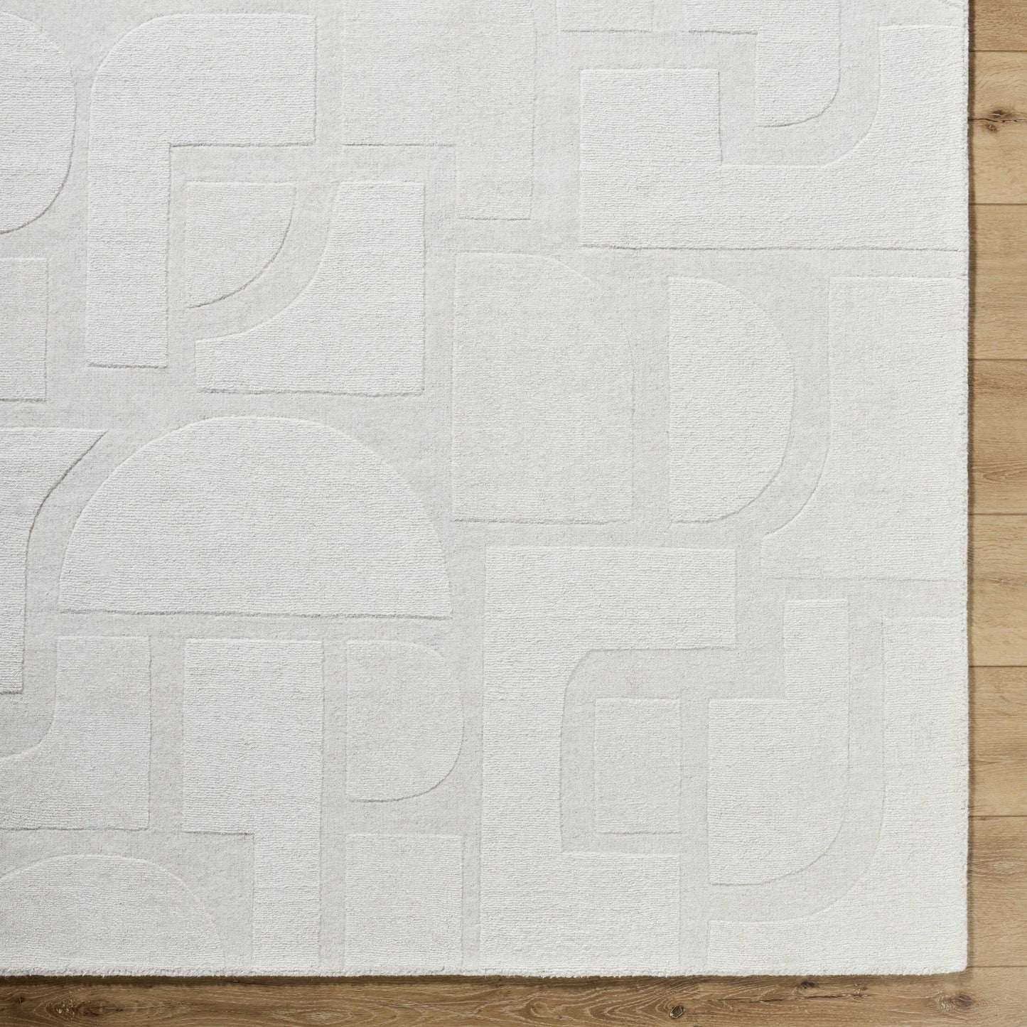 Chizue Area Rug-2