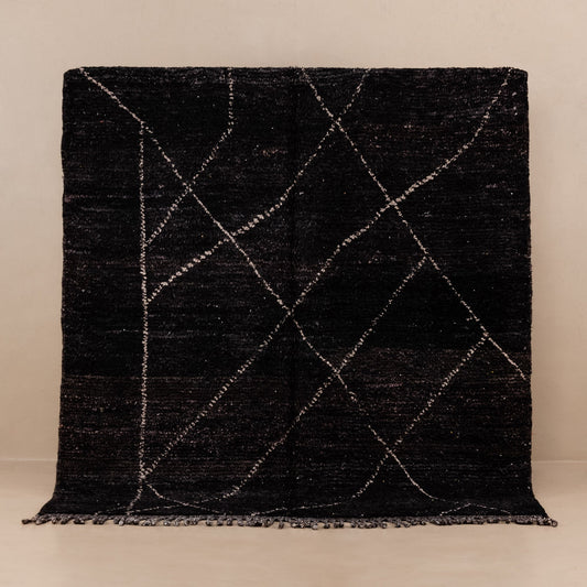 Sahil - taznakht kilim rug-0