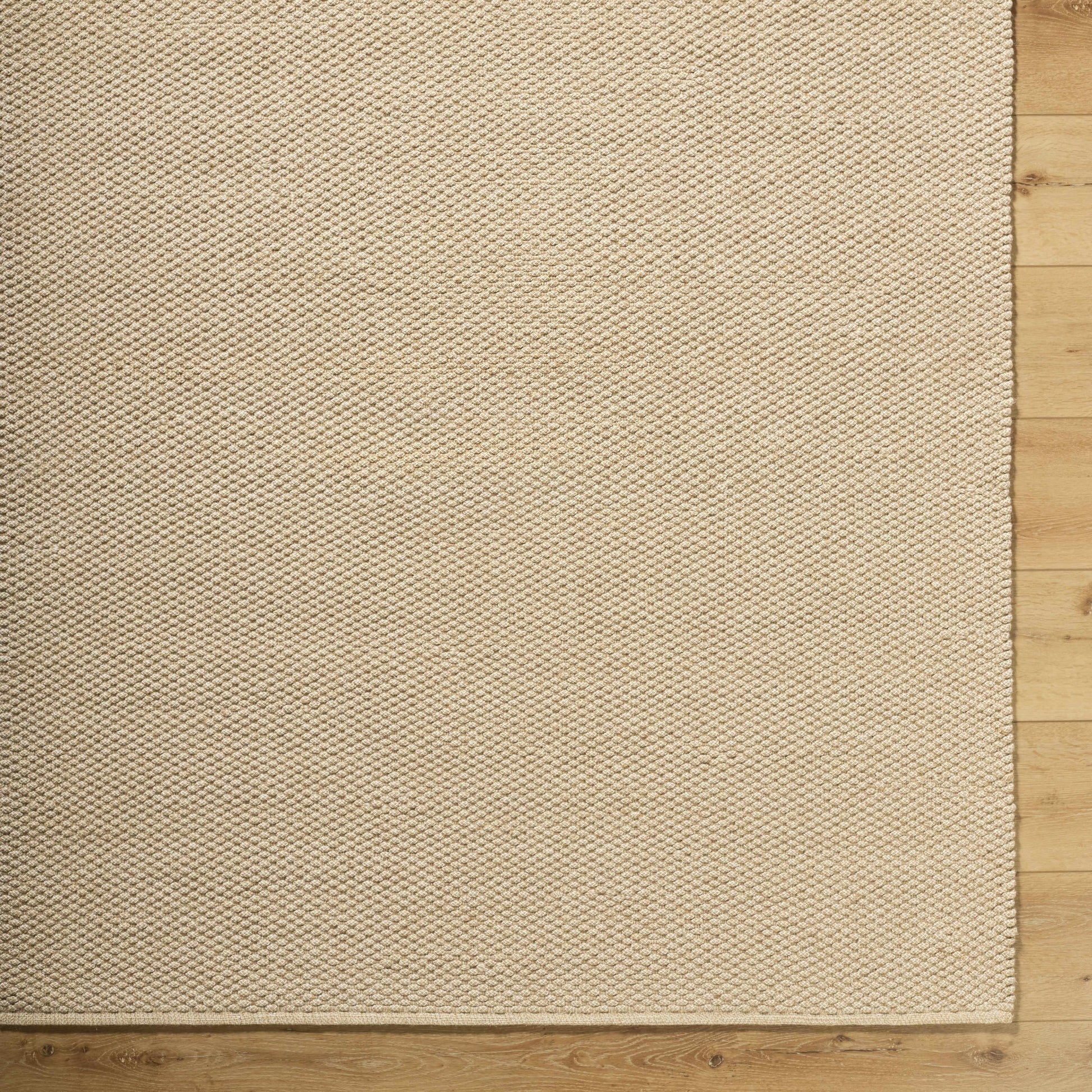 Cezary Jute Rug-1