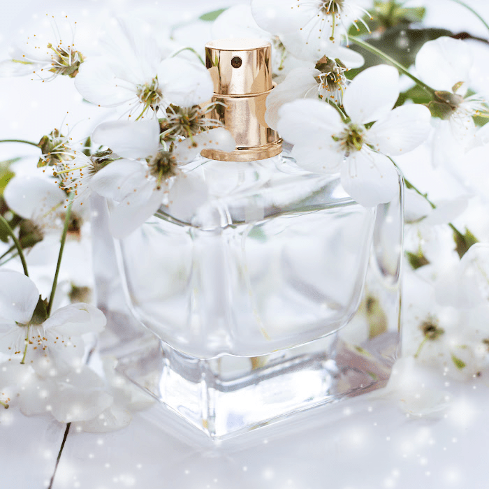 Chance Chanel (type) - Premium Fragrance Oil