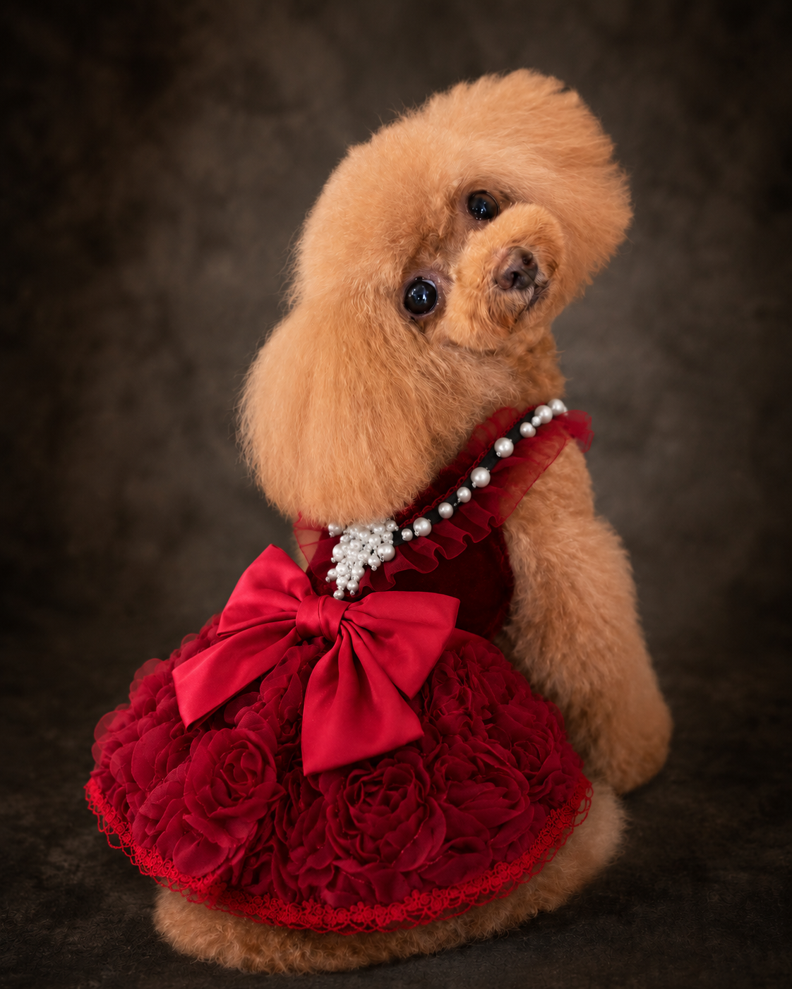 Ruby Rosette Pet Dress