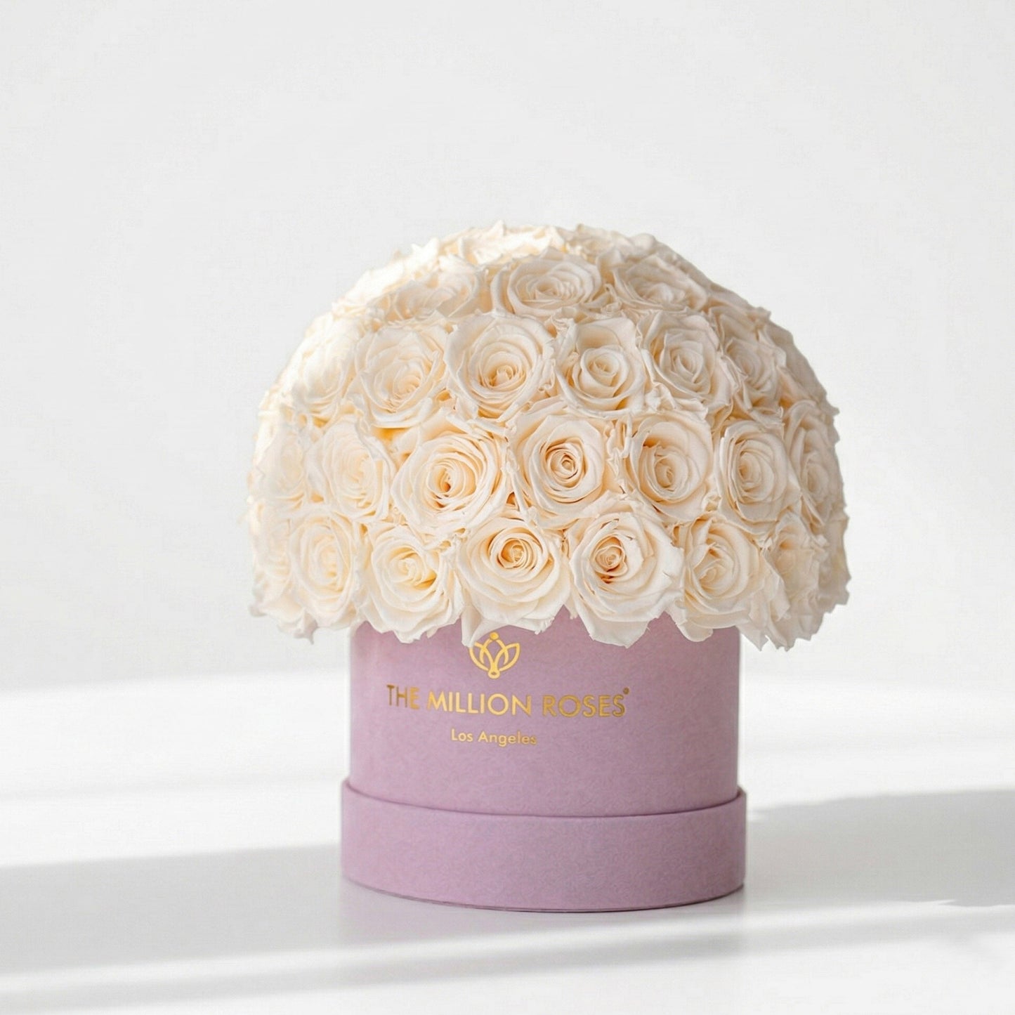 Classic Light Pink Suede Superdome Box | White Roses