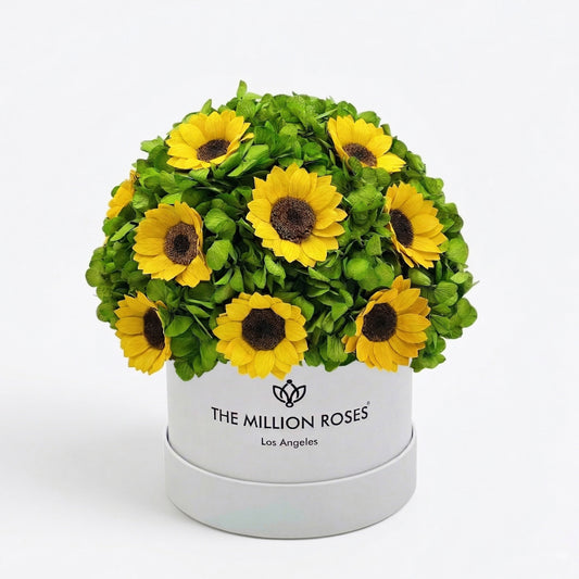 Classic White Box | Green Hydrangeas & Sunflowers