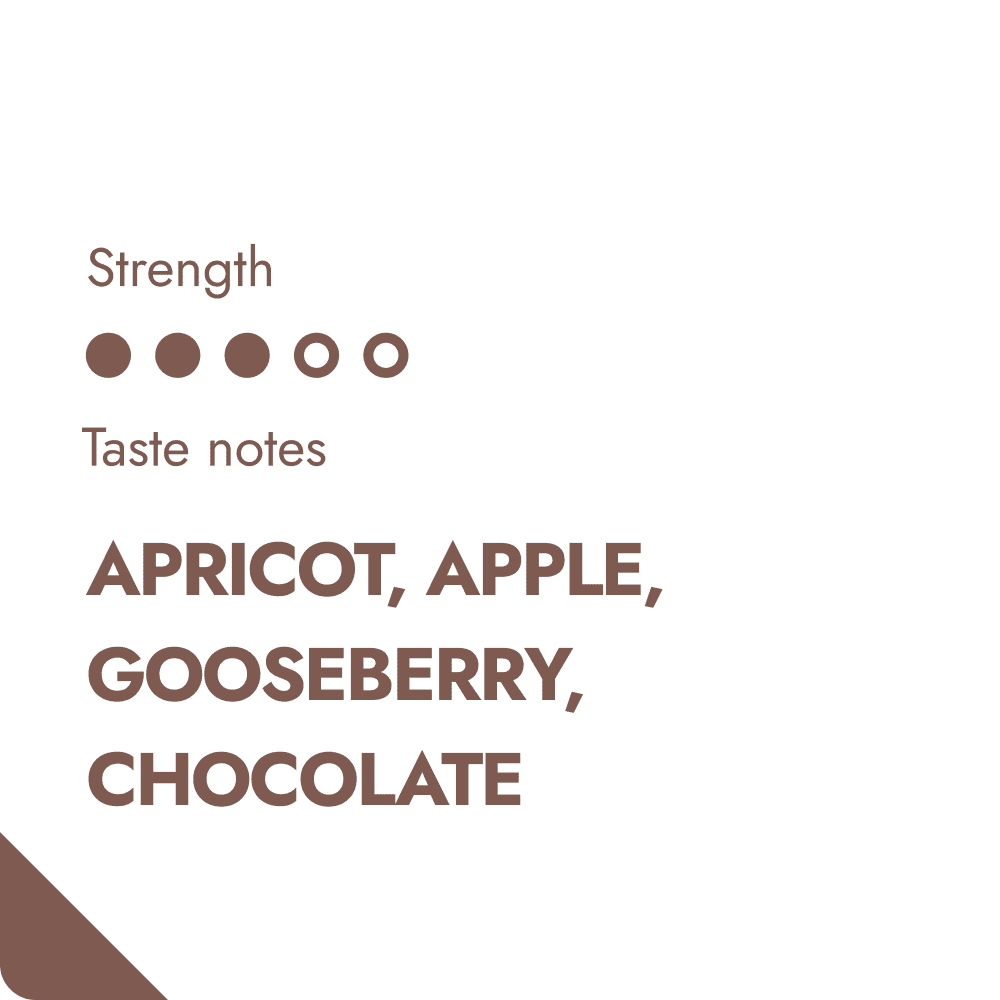 COLOMBIA COFFEE BEANS-1