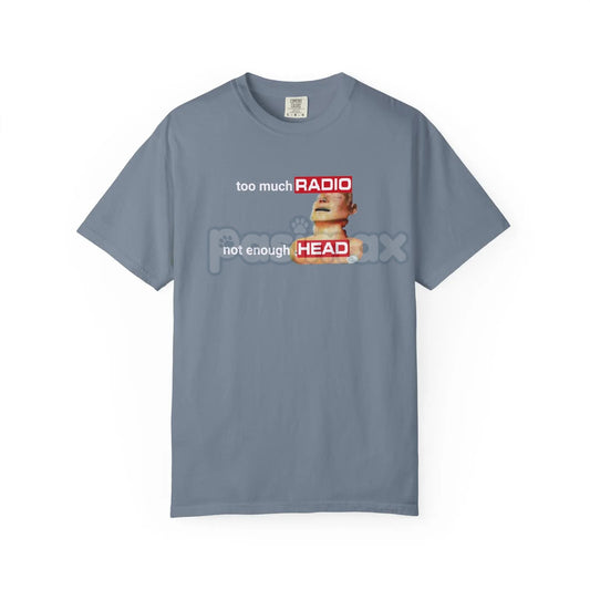Comfort Colors 'Too Much Radio, Not Enough Head' Shirt – Vintage Audio Critic Tee, Classic Rock Nostalgia, Authentic Music Fan Gift