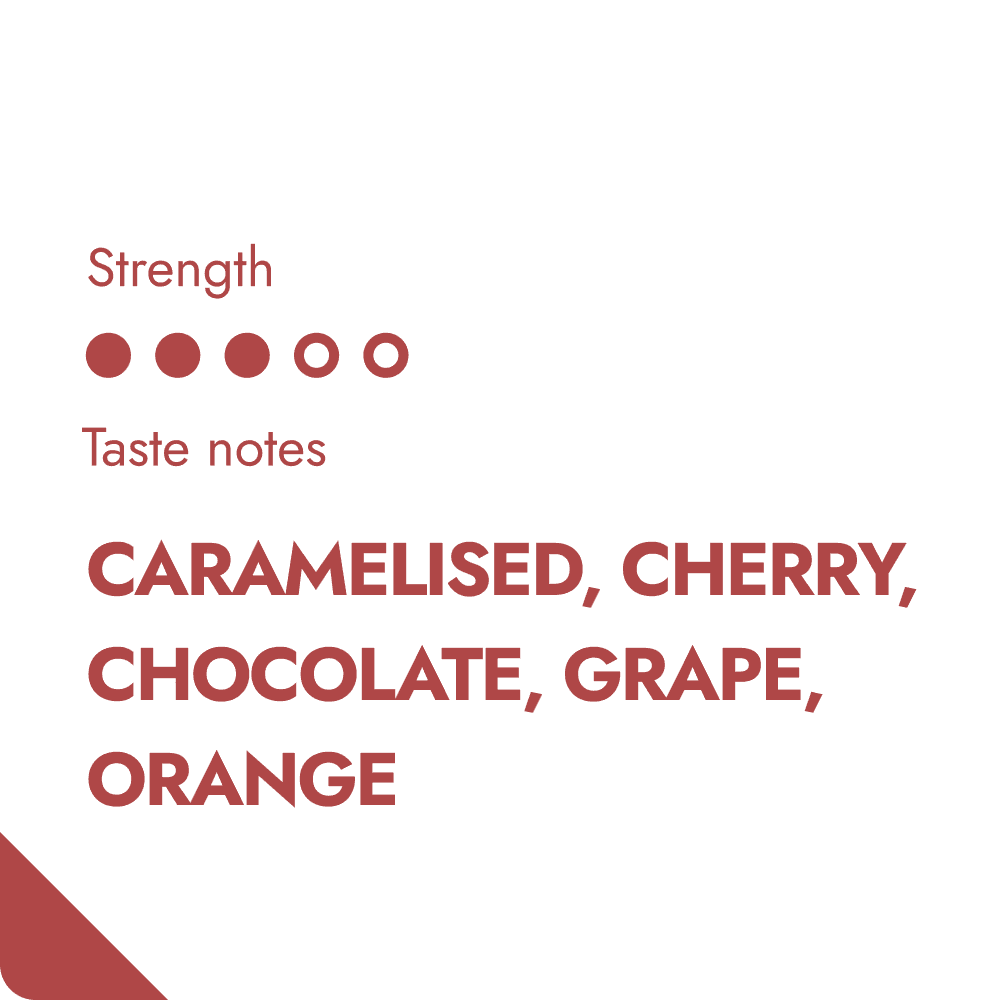 COSTA RICA COFFEE BEANS-1