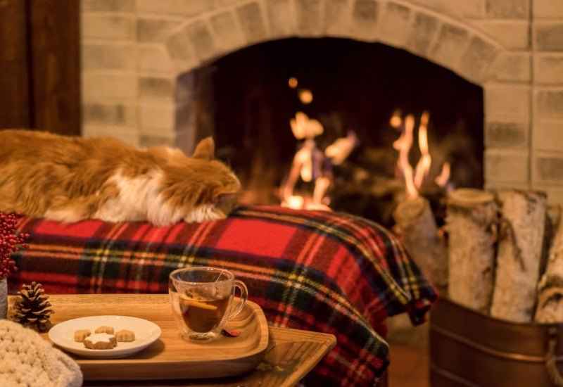 Cozy Cabin - Premium Fragrance Oil
