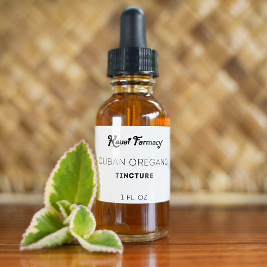 Bottle of Cuban Oregano Tincture from Koval Farmacy with leaves on a wooden surface.