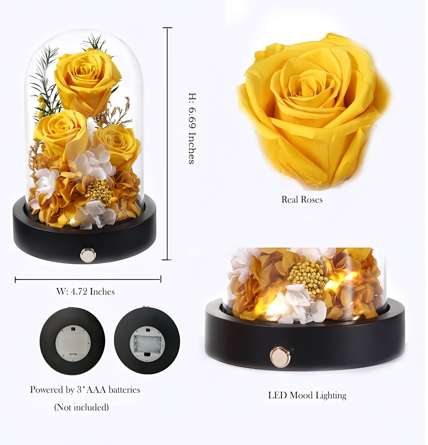 100% Real Preserved Flowers in Glass Dome with LED, Red Roses for Delivery