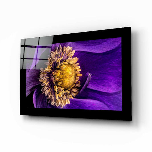 Passionflower Flower Glass Wall Art-0