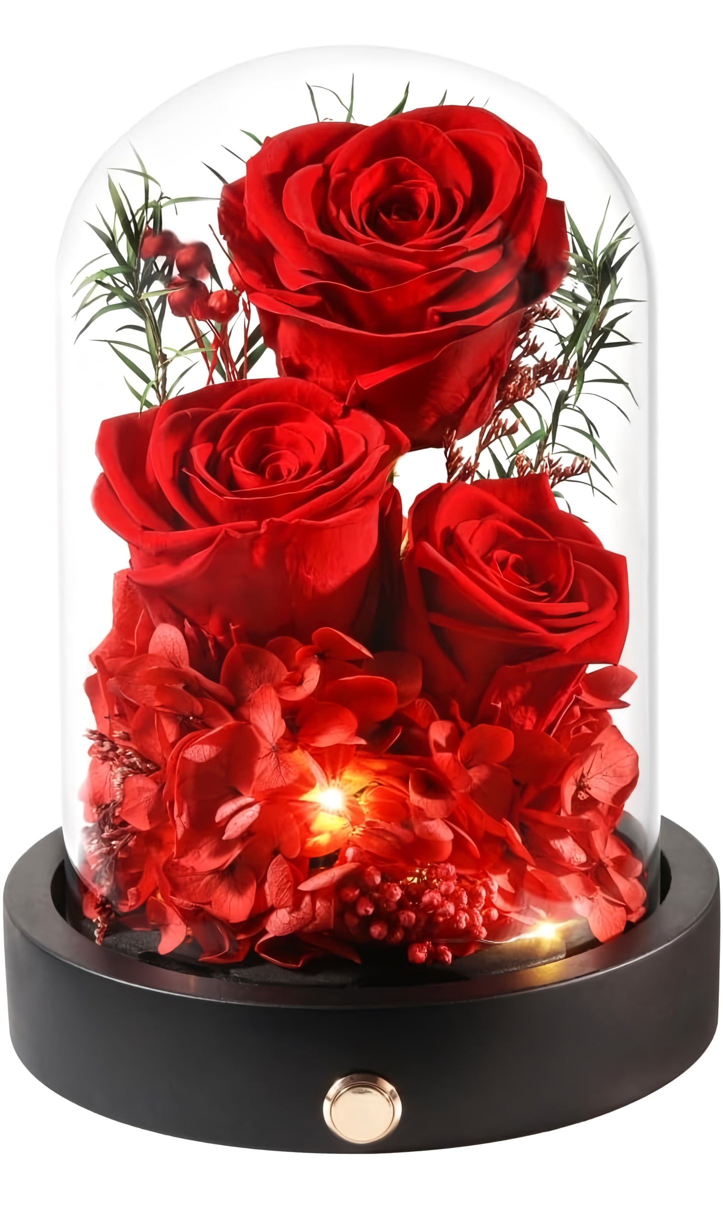 100% Real Preserved Flowers in Glass Dome with LED, Red Roses for Delivery