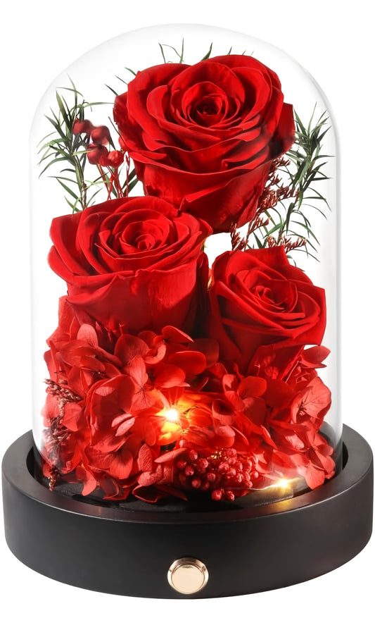 100% Real Preserved Flowers in Glass Dome with LED, Red Roses for Delivery